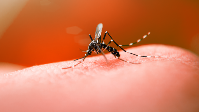 sindmedce's tweet photo. #SaúdeNaMídia 

Dengue dispara no país, e reagente de testes se esgota --> https://t.co/RkmJvAliVa https://t.co/5LTASMhyVF