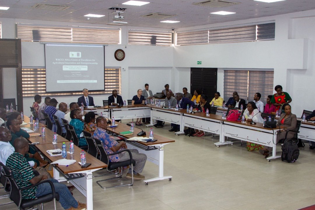 EY_Danquah's tweet photo. I shared the WACCI story with a visiting BHEARD team from MSU, Makerere University and Lilongwe Agricultural University this afternoon.⁦@wacci_gh⁩ ⁦@UnivofGh⁩ ⁦@CornellGlobal⁩ ⁦@AGRAAlliance⁩ ⁦@Agnes_Kalibata⁩ ⁦@JoeDeVries2⁩ ⁦@AAU_67⁩ https://t.co/4ZkfuZ8LiZ