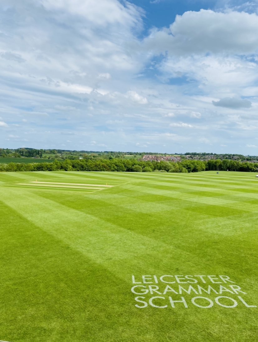 It's Beginning to Look a Lot Like summer ☀️🌱🏏🌸