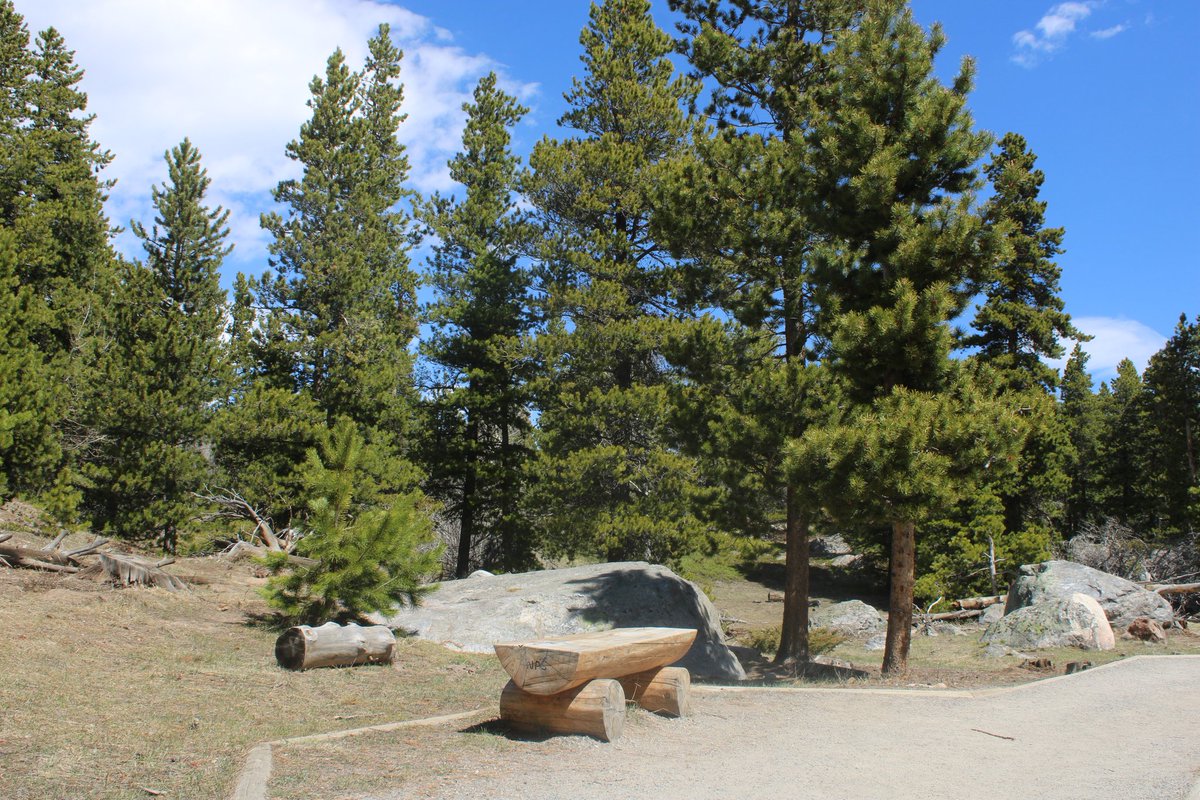 TheUltimateHike's tweet photo. I just love the outdoors #nationalpark #Colorado #rockymountains #camping #adventure #explore #hiking #NaturePhotography https://t.co/DV7Y6tcQMZ