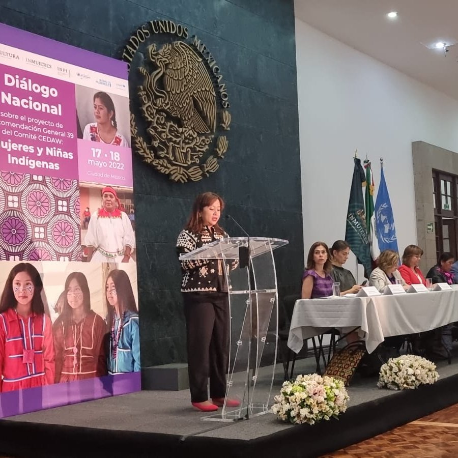 "La igualdad de las niñas y las mujeres es responsabilidad de todos los sectores de la sociedad. Las niñas y las adolescentes indígenas deberían participar en el desarrollo de las políticas qué las afectan." Pressia Arifin-Cabo, Representante Adjunta de UNICEF México <a href="/pressia/">Pressia Arifin-Cabo</a>
