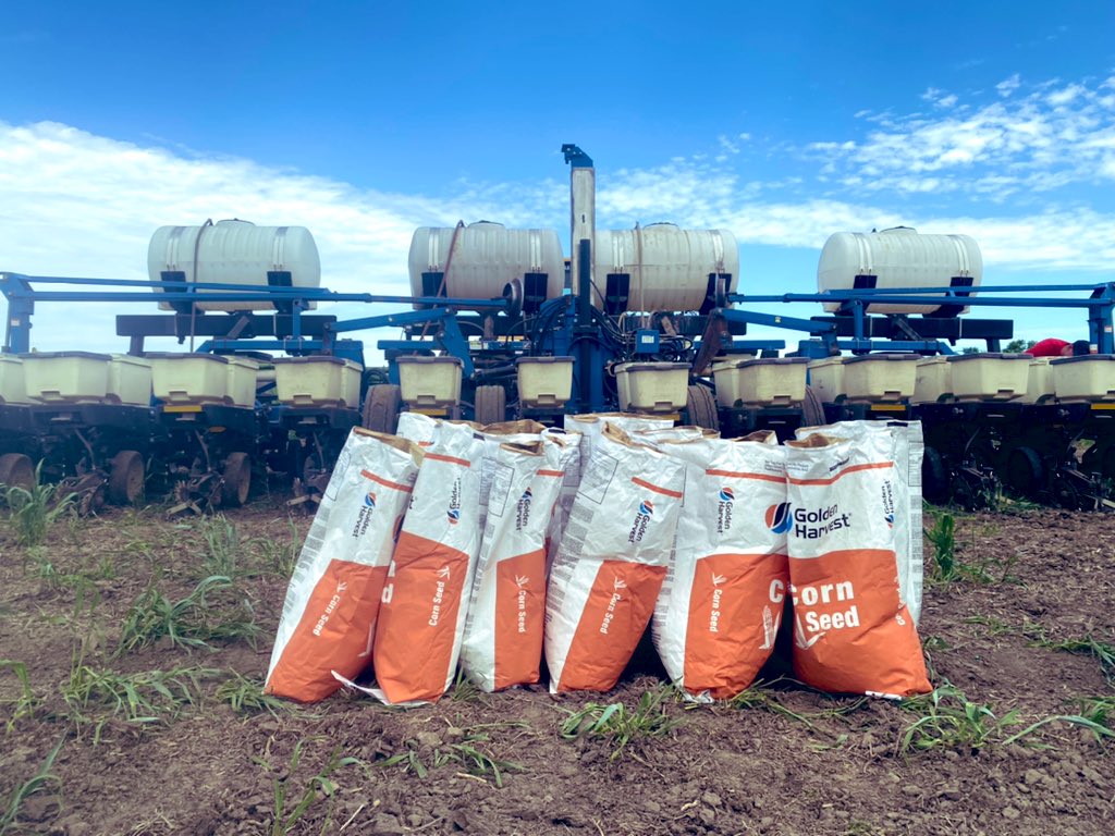 ProgressiveSeed's tweet photo. Time to get started on the corn plot! https://t.co/fbVLdnrJLY