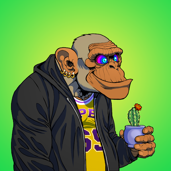 PrimeApesNFT's tweet photo. Since our previous Tweet the floor is on the rise so heres a few more Apes on the floor currently 🙈🙉🙊
Join the Club!🔥
https://t.co/TveLsmgak9
#PrimeApesClub #NFTCommunity #NFT #opensea https://t.co/cSkYm2McNA