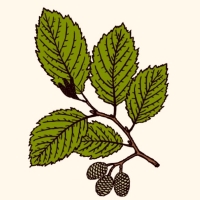 UAlberta Press tweet media