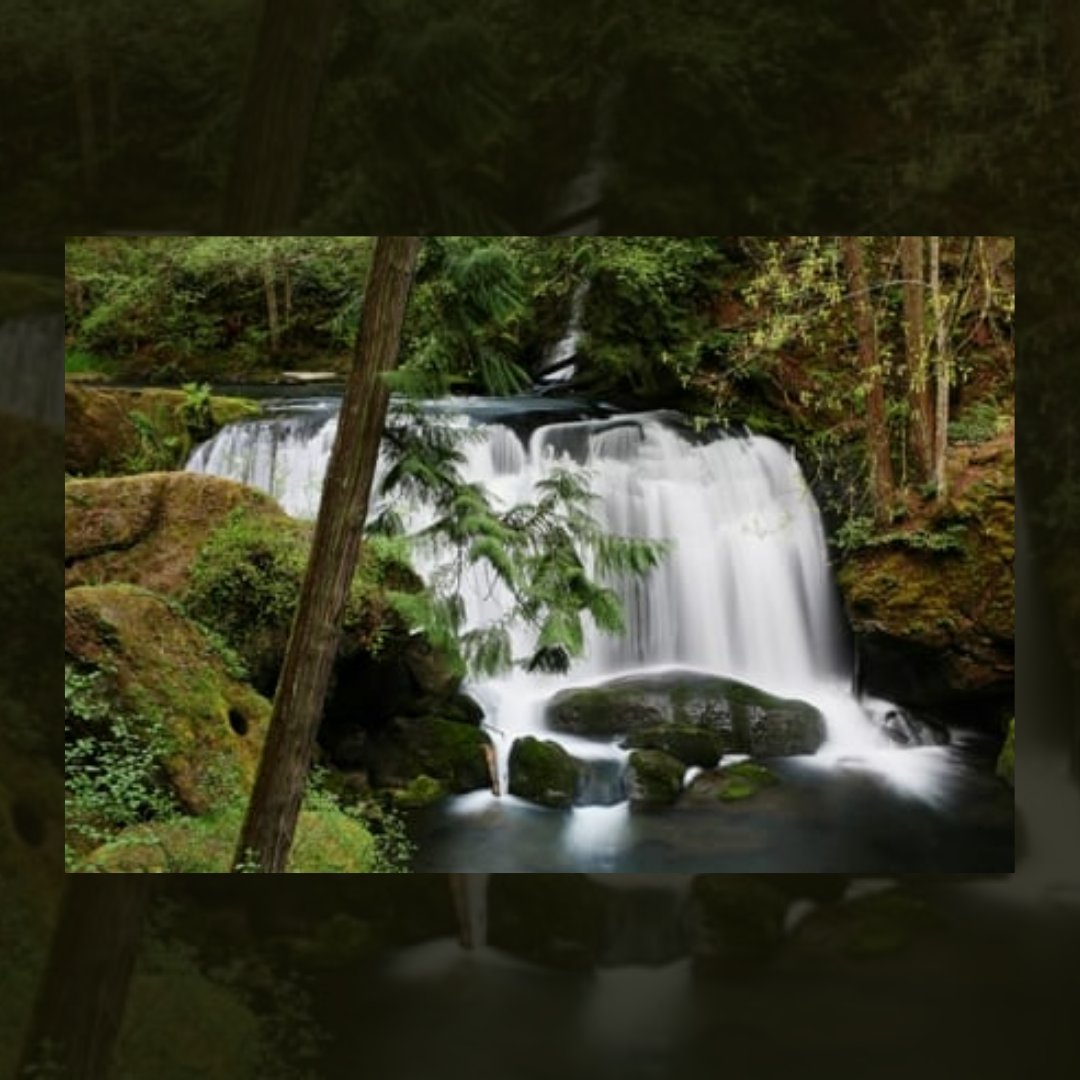 RairdonHyundai's tweet photo. Enjoy some family fun this weekend at Whatcom Falls Park. Enjoy a spring picnic, fishing, or hiking the trails.  Discover your adventure today! ▶️ https://t.co/qMELaxuZgS

#cityofbellingham #whatcomfallspark #fishing #picnic #hiking #familytime #adventure https://t.co/JChXg6iCet