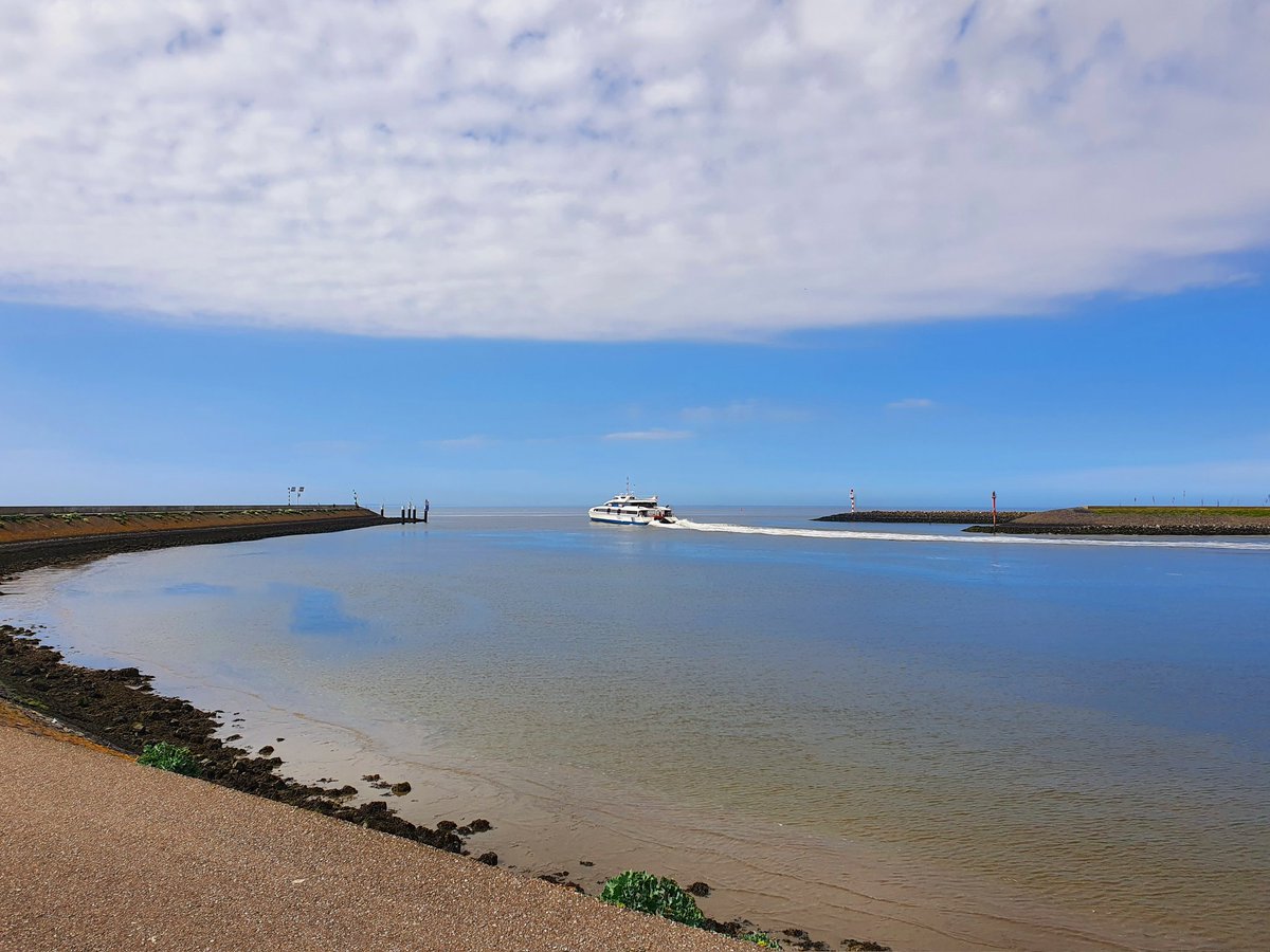 ArjaKastelein's tweet photo. #Harlingen #zeekool #waddenkool #Waddenzee #harlingenwelkomaanzee https://t.co/npONOMHs0F