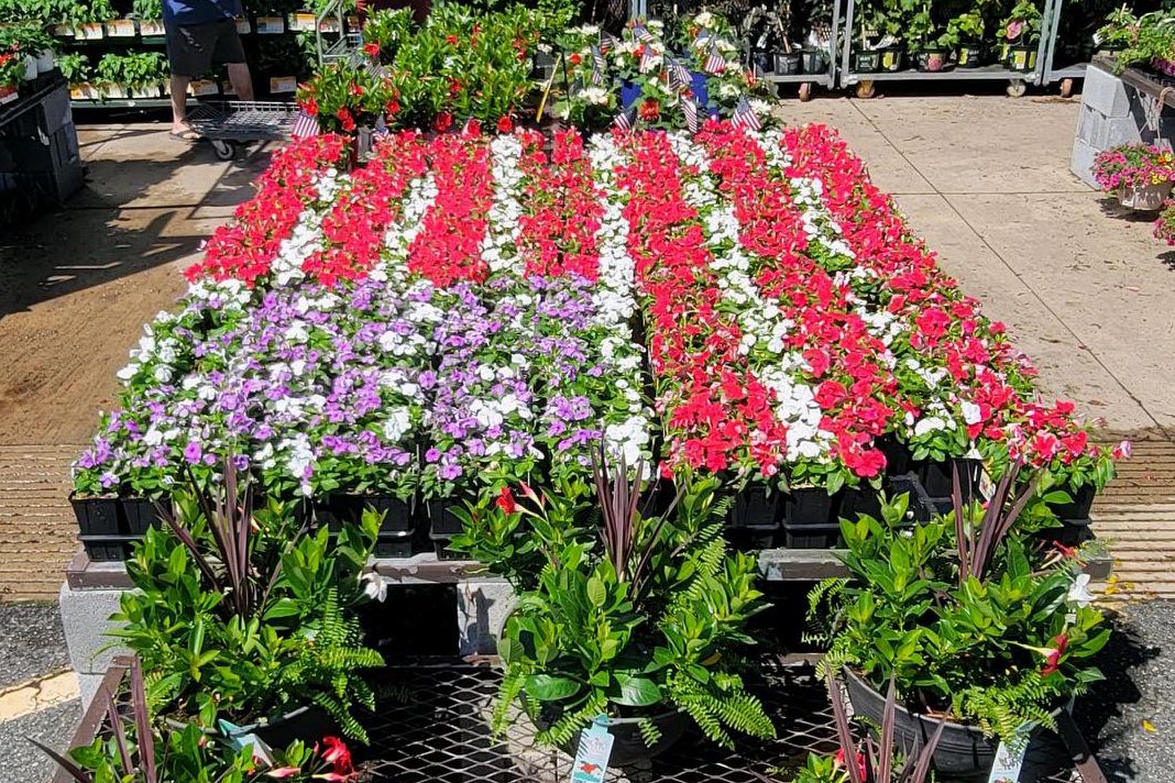 Kate11589687's tweet photo. #lowes2589 #lowes2848 #plantpartners 🇺🇸🦅🇺🇸 https://t.co/2ysN74ewfY