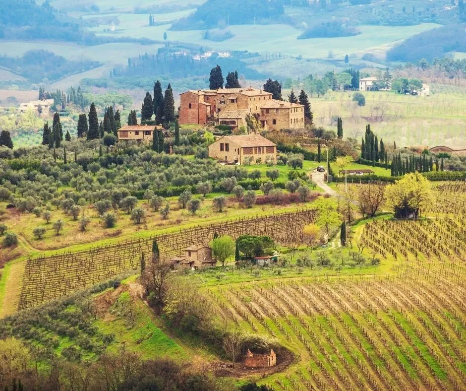 Join us for a Vine Society event on May 26 — a Deep Dive into the wines of Tuscany!
buff.ly/3gW5KsL