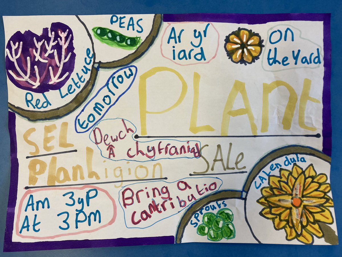 6BlwyddynYBE's tweet photo. Yfory, bydd blwyddyn 6 yn gwerthu planhigion sydd wedi cael eu tyfu gan blant yr ysgol. Rhagor o wybodaeth ar y posteri isod.

🥬🌱🌼

Tomorrow, year 6 will be selling plants that have been grown by the children in the school. More information on the posters below. https://t.co/5NpK3e2EKn