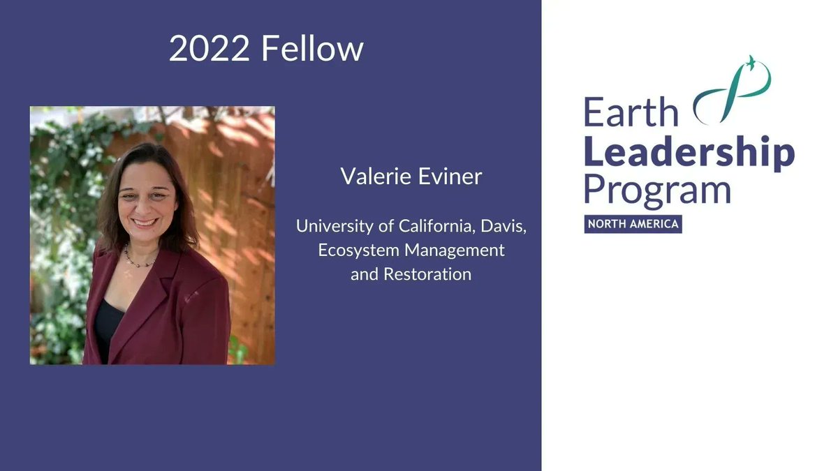 Valerie Eviner (@VEviner) works to improve our understanding and management of plant communities and ecosystem processes. <a href="/UCDavisPlants/">UCDavisPlants</a>
Head to our website to learn more about Valerie bit.ly/39HdWMN
#collectiveleadership <a href="/CUBoulder/">CU Boulder 🦬</a> <a href="/FutureEarth/">Future Earth (@futureearth.bsky.social)</a> <a href="/StanfordWoods/">Stanford Woods Institute</a>