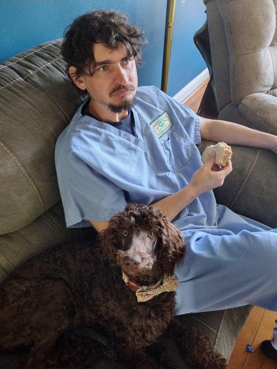 DrEmilyThomas's tweet photo. And where are YOU going to sit?? #bitchstolemyseat #couchhog #thoseeyes #whome #dogsofinstagram #couchpotato #puppy #standardpoodle #thatsmyman #lunchbreak #maize #beatyoutoit https://t.co/ttsFSyWq1Y