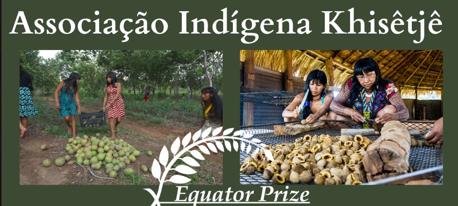 #BiodiversityDay is next week and we are celebrating #EquatorPrize winner Associação Indígena Khisêtjê (AIK)!

AIK lives in one of the most biodiverse places on earth 🐾

Learn how they are protecting their territory with their pequi oil enterprise⬇️
bit.ly/Khisêtjê