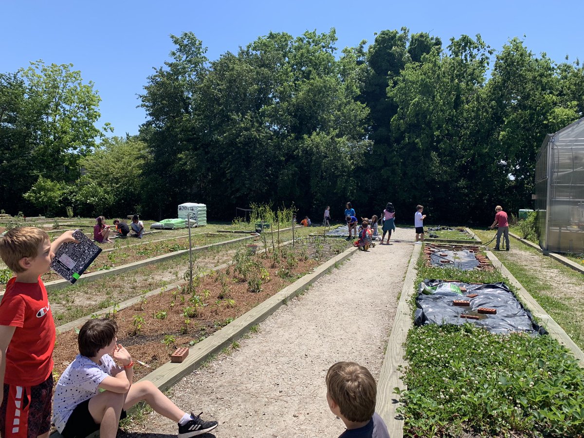 MrsMorin3's tweet photo. Yesterday we read about soil. Today we are collecting and identifying soil samples in our garden using observable physical properties. Authentic data collection and observation https://t.co/VG9WohO93Q