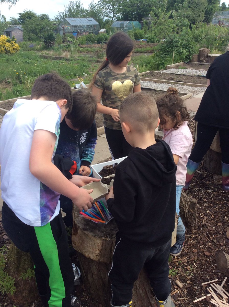 Stbede_reception tweet media