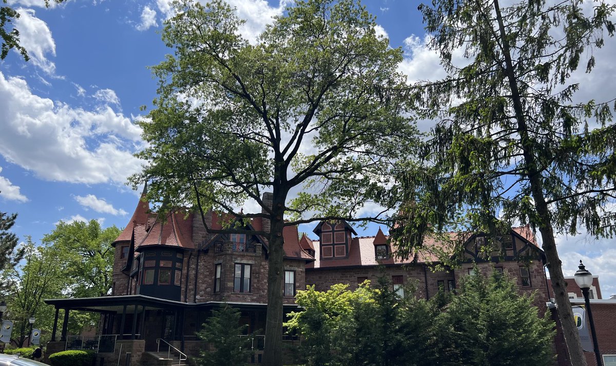 profScardino's tweet photo. Beautiful day ⁦@Felician_edu⁩ https://t.co/AkGYHc9xni