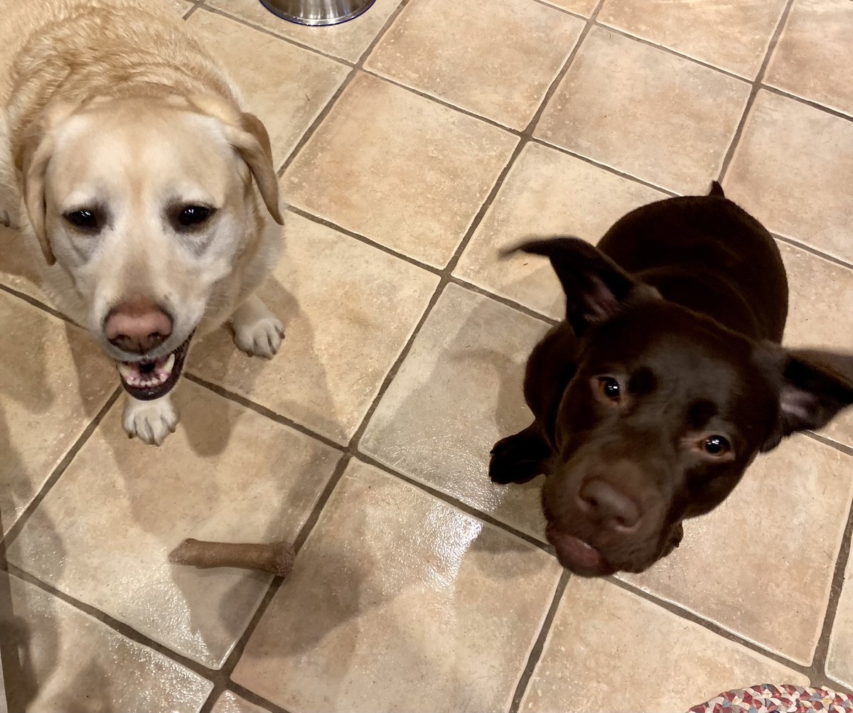 Dr. Ebeth Sawchuk tweet media