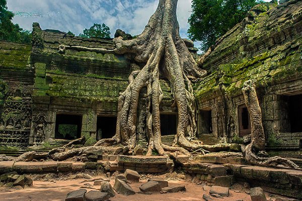 AsiaBackroad's tweet photo. One of the most famous temples in Angkor, the Ta Prohm is known for the huge trees and the massive roots growing out of its walls. The jungle temple also featured in the adventure movie “The tomb raider”; several shots were filmed in the Ta Prohm.

#travel #cyclingtours https://t.co/BdnS1K2Ktf