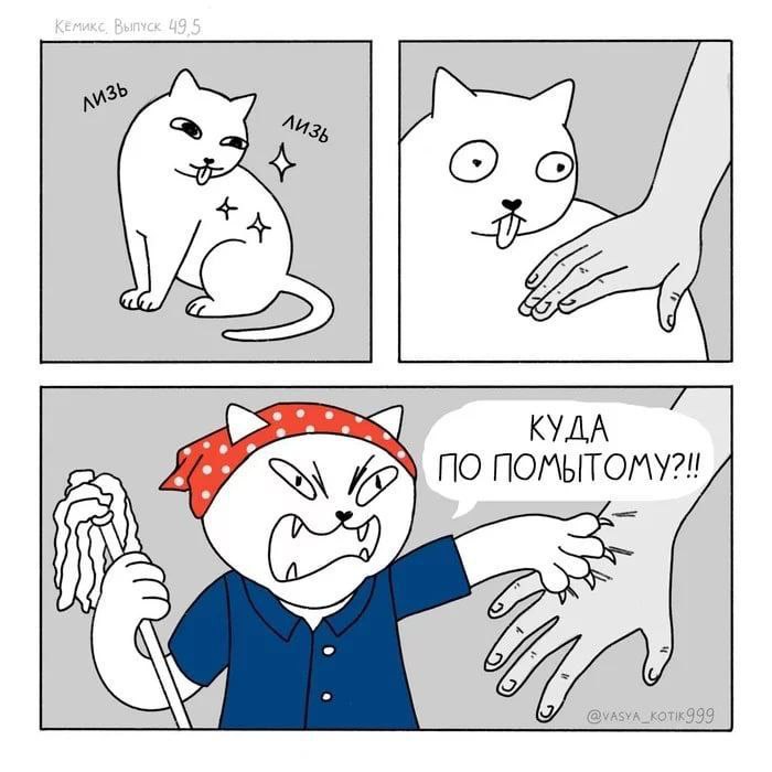 Moonhalf's tweet photo. Ору чайкой ))) https://t.co/lqJRsfchyx