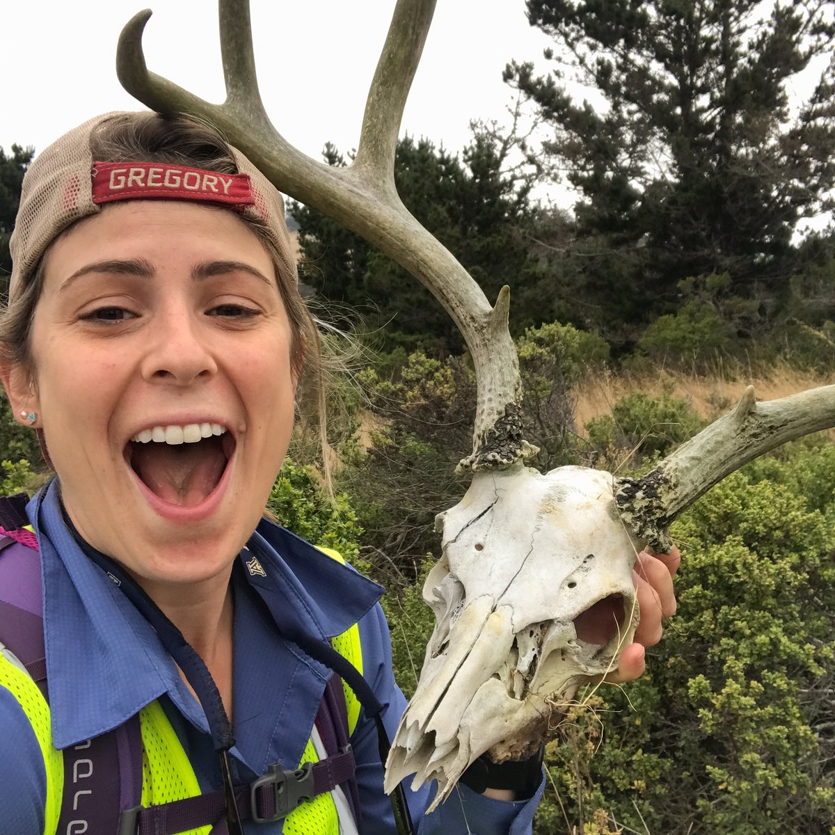 BHIConservancy's tweet image. Our #AlumnioftheMonth is Laura Franklin! Laura was an #intern on our #SeaTurtleProtection Team throughout the summer of 2008 &amp;amp; now studies activity &amp;amp; population dynamics of white-tailed #deer in Florida while pursuing her PhD. 🦌

Catch-up with Laura: ow.ly/kOj950JakKU
