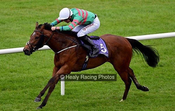 irishracing's tweet photo. Madden back amongst the winners on Princess Rajj  https://t.co/hhcJpVoX68 https://t.co/DqWOulHrqa