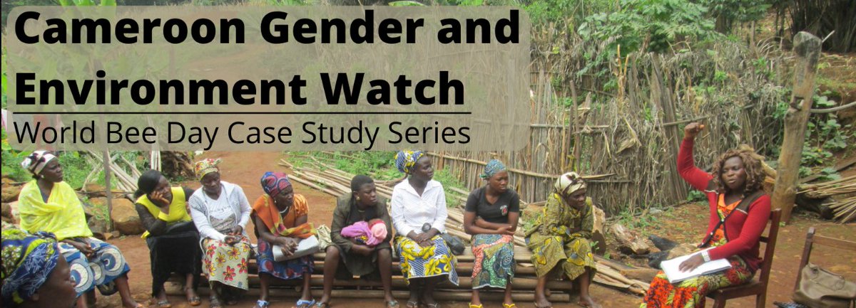 Learning for Nature (@learning4nature) on Twitter photo It's #WorldBeeDay! 🐝
<a href="/CAMGEW/">Cameroon Gender And Environment Watch CAMGEW</a> won the #EquatorPrize in 2019 for their transformative work empowering women and restoring native bee habitats.
Read their case study to see how they use beekeeping to promote gender equality and sustainable development 👇🏼
bit.ly/CAMGEW It's #WorldBeeDay! 🐝
<a href="/CAMGEW/">Cameroon Gender And Environment Watch CAMGEW</a> won the #EquatorPrize in 2019 for their transformative work empowering women and restoring native bee habitats.
Read their case study to see how they use beekeeping to promote gender equality and sustainable development 👇🏼
bit.ly/CAMGEW