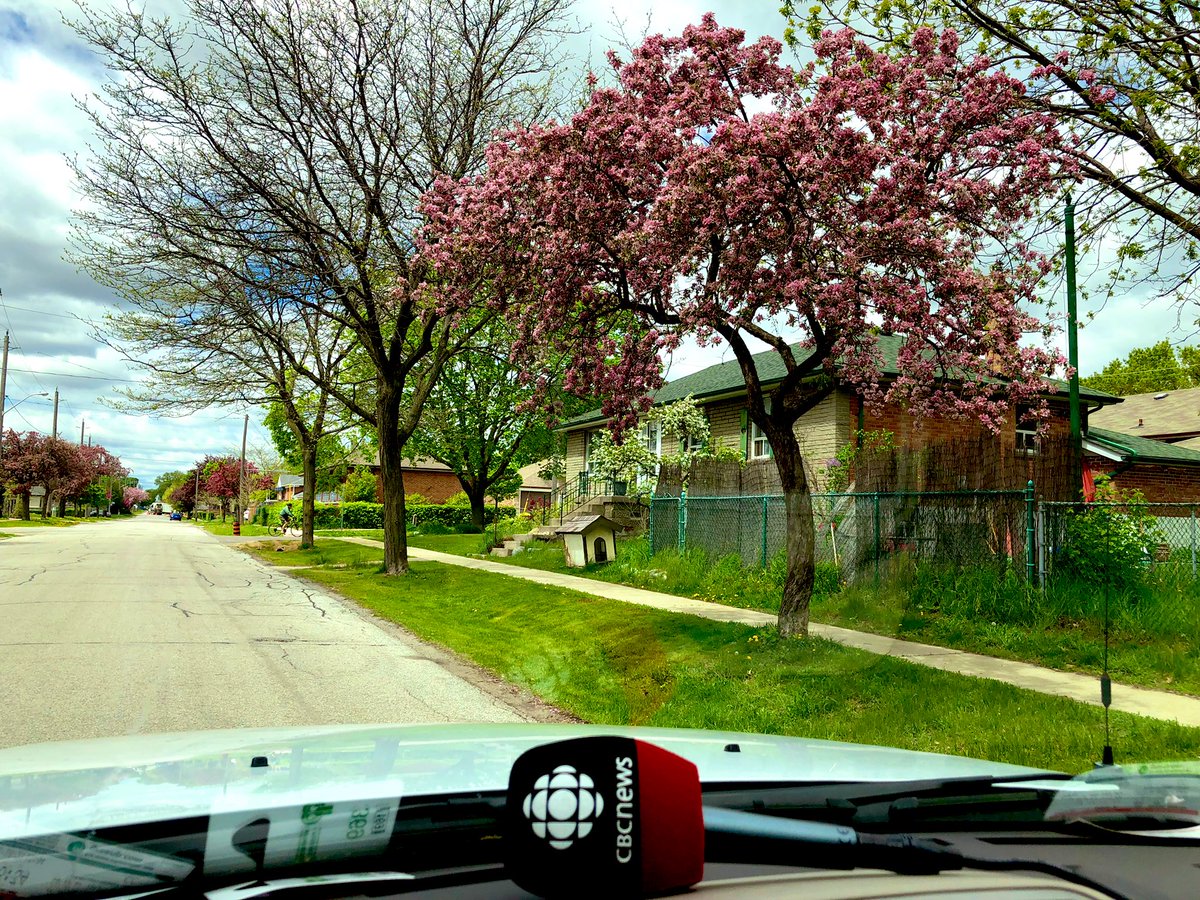 PasiekaOnPol's tweet photo. Ended the day filing from the riding of #etobicokelakeshore This riding is currently held by PC MPP @CHogarthPC. NDP came within a couple thousand last time, riding has usually flipped btwn Liberal/PCs. Somewhere in ON? You’re in a riding! #onpoli #clarain124 #124challenge https://t.co/5kEEeGZ7AL