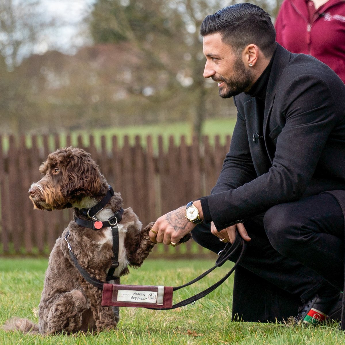 HearingDogs's tweet photo. Mitchell is an incredibly popular boy and he has made a lot of new friends during his training  😊

@pernicegiovann1 - your buddy is going to change a deaf person's life! ❤️ https://t.co/CMblQBOpiw