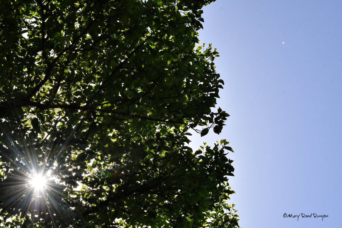 MaryReedRunyon1's tweet photo. High altitude #balloon ?? Hatfield,KY in northern Pike Co today 5/17/22 #HBAL593
@RavenAerostar @SpencerWeather @brobwx @WSAZBrandon @JoshFitzWx @JimWKYT @Kentuckyweather @cjwxguy56 @weatherchannel @AndrewWMBF @AllisonWeather @PaigeWVLT #weather #ekywx #kywx #sekywx https://t.co/7xae3SF1el