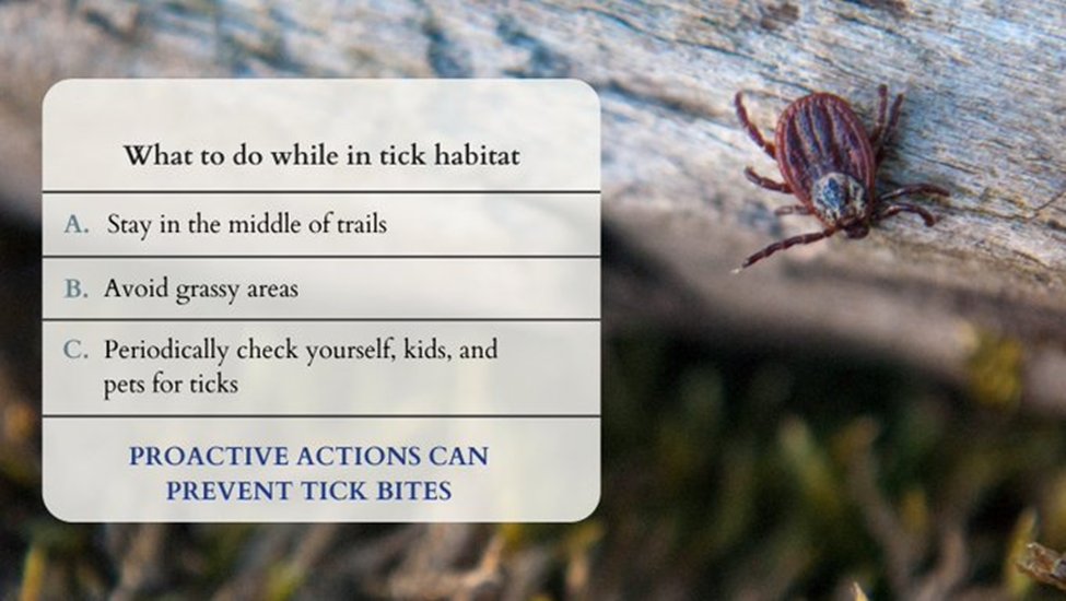 SCCgov's tweet photo. The @SCCVCD recommends taking precautions from ticks when outdoors. Stay in the middle of trails and avoid grassy areas, logs, and leaf piles. Remember to check yourself, kids, and pets for ticks periodically. Constant monitoring can help find ticks before they can attach to you! https://t.co/wFNGiTuERf