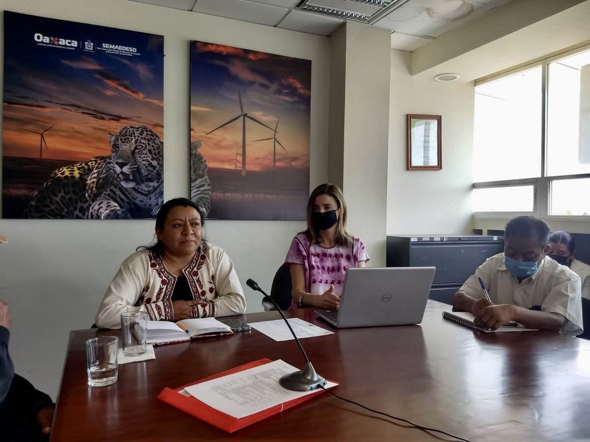 Iturribarria_'s tweet photo. Para fortalecer a las comunidades de la Sierra Norte de Valles Centrales, con la Dip. Melina @MelyHernandez4T, la @CONAFOR, @ppavel77 de @CONANP_mx y comisariados,  hoy se comparten experiencias… (1 de 2) https://t.co/Oed6ihhTWd