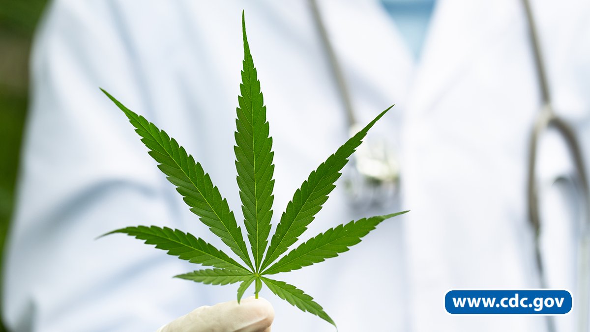 CDCInjury's tweet photo. Recently, CDC highlighted the growing concern of #MarijuanaUseDisorder in the U.S.
Learn about the wide range of negative health effects & risks #THC can have on your body: https://t.co/cYUmuEgpjg https://t.co/bhk3Mmfncc