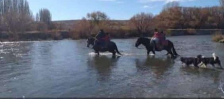 CristinaEsquel's tweet photo. 📢No es turismo aventura. Son niños, alumnos de la Esc 137 de Costa del Chubut,  cruzando el río con -6gr para llegar hasta la trafic que los lleva a tomar clases a Gualjaina xq su edificio escolar y el albergue no están funcionando. Por favor que se haga algo 🙏 https://t.co/ABr6RW9mQo