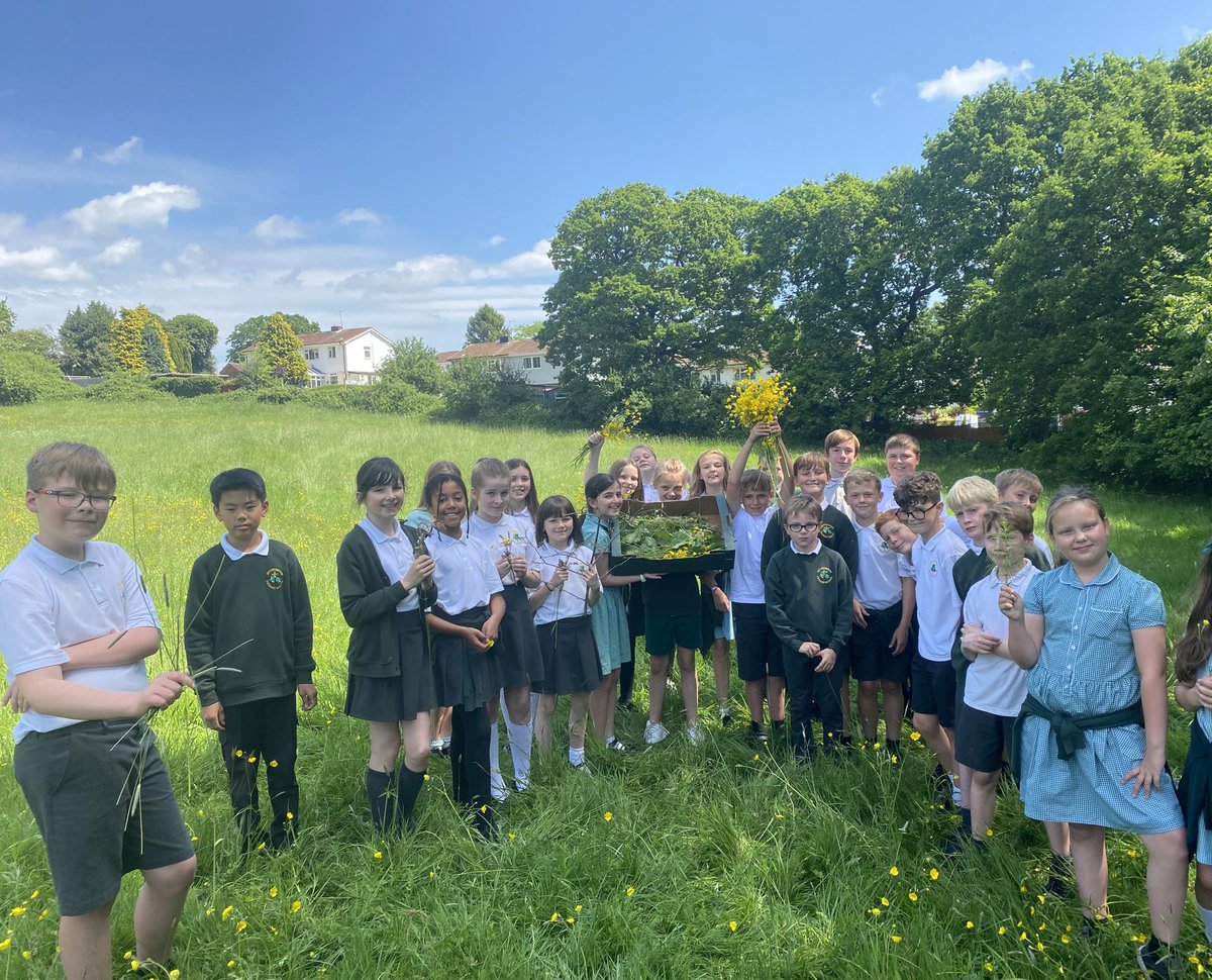 IC_Walnut's tweet photo. We walked up to Bell Common in the sunshine to gather flowers and leaves to include in our nature inspired mandala. What a beautiful day ❤️ https://t.co/eZzryEP2RX