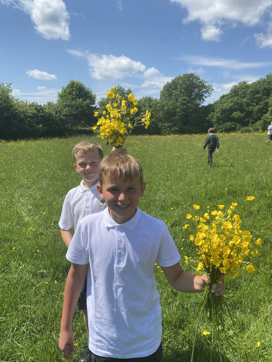 IC_Walnut's tweet photo. We walked up to Bell Common in the sunshine to gather flowers and leaves to include in our nature inspired mandala. What a beautiful day ❤️ https://t.co/eZzryEP2RX