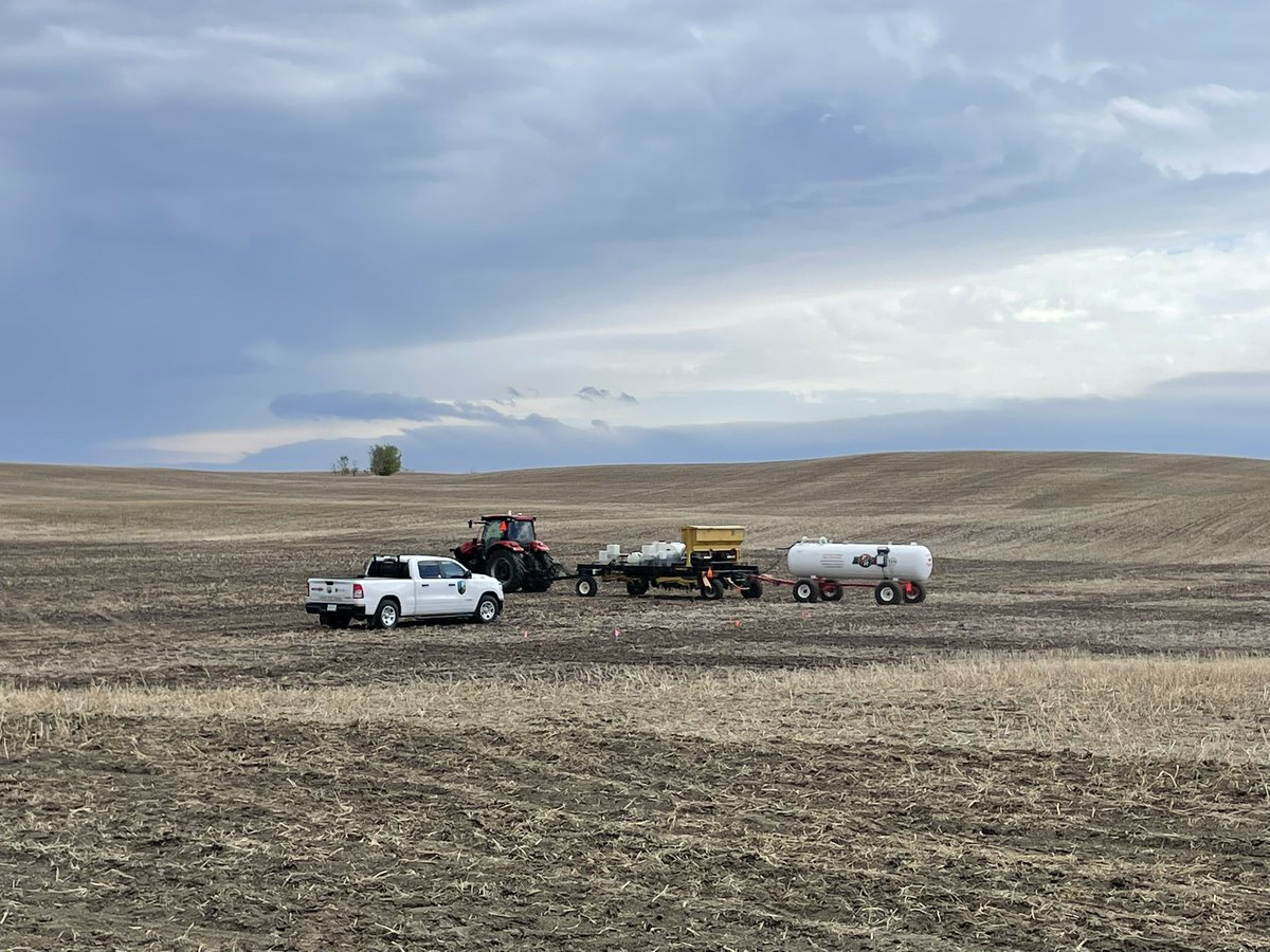 SeCanLauren's tweet photo. It just so happens the #malt #barley trial at one of the stops on this #CMBTC tour is getting seeded right now near Biggar #Sask Make sure to sign up for this event 🍻 🌾 🍻 @WylieSeeds_Dale @canadianbarley @SaskBarley https://t.co/HNIlo4Eg8m