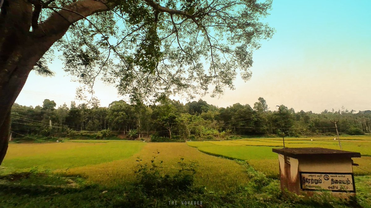 TheVoyager_iakr's tweet photo. #PaddyFields #KolliHills 
Do Like Share&amp;Follow
#Traveller #Travelog #TheVoyager #Voyager #Travelling #TravelPhotography #TravelBlogger #travelgram #travelingram #traveltheworld #backpacker #backpacking #Tourism #TourismIndia #IncredibleIndia #India #IndiaTourism  #TravelIndia https://t.co/iXiX1wxH1f