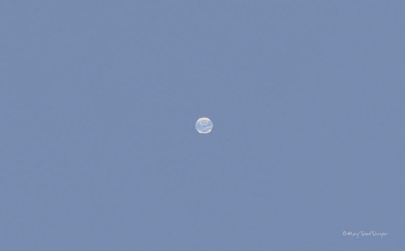 MaryReedRunyon1's tweet photo. High altitude #balloon ?? Hatfield,KY in northern Pike Co today 5/17/22 #HBAL593
@RavenAerostar @SpencerWeather @brobwx @WSAZBrandon @JoshFitzWx @JimWKYT @Kentuckyweather @cjwxguy56 @weatherchannel @AndrewWMBF @AllisonWeather @PaigeWVLT #weather #ekywx #kywx #sekywx https://t.co/7xae3SF1el