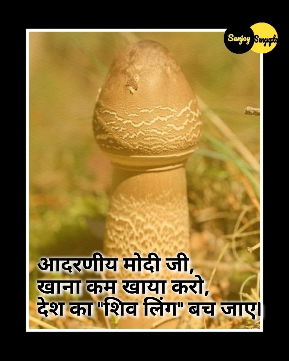 aitcSanjay's tweet photo. आज खाने ही जा रहे थे लेकिन फिर याद आया।

#GyanvapiShivlingExpose https://t.co/Keur2UzLRQ