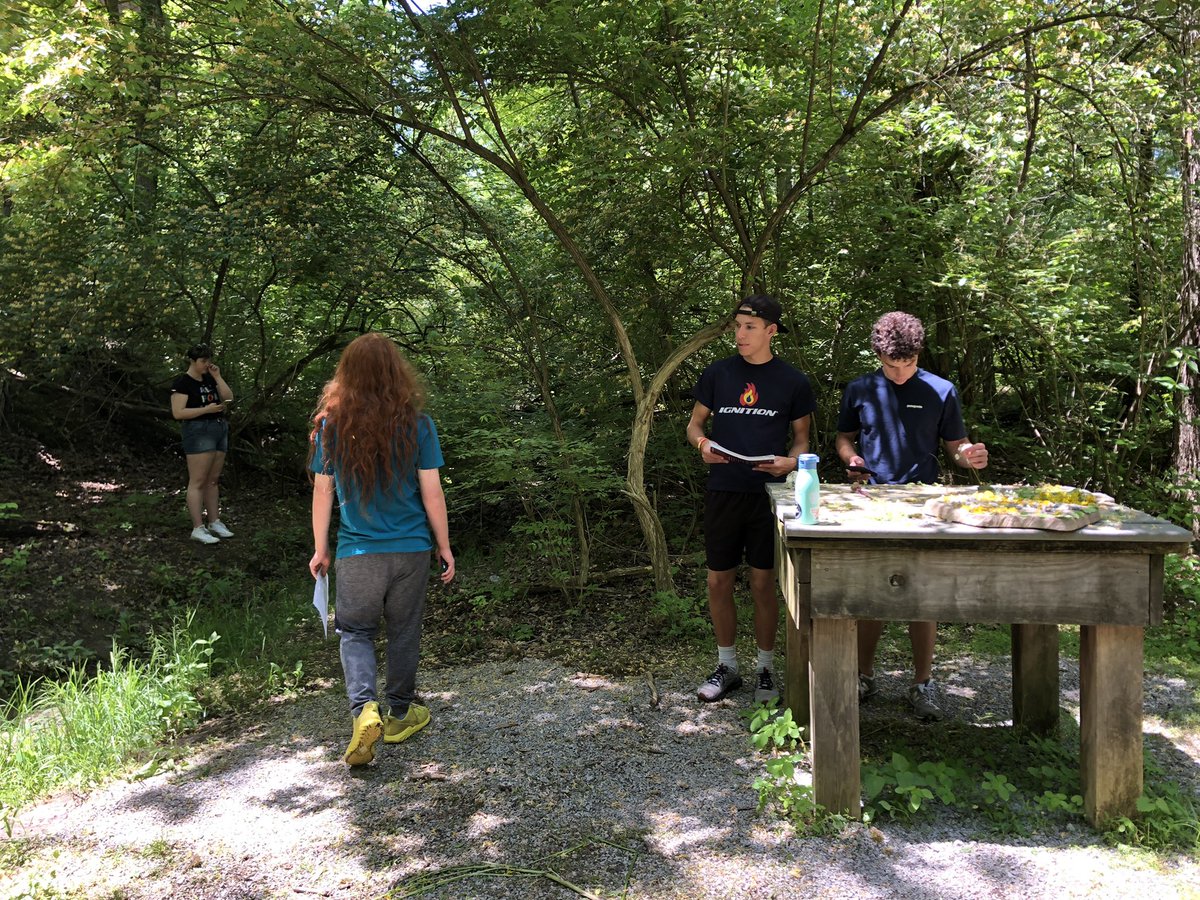 BioTeachMullins's tweet photo. Annual #APBio scavenger hunt time. Can you find the haploid adult organism in these pictures? How about the symbiotic relationship? #doingislearning https://t.co/n5zIp3PuHA