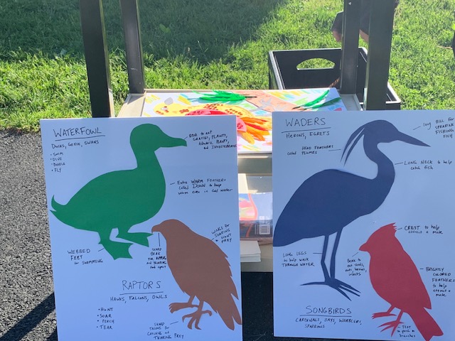 PCFine_PerfArts's tweet photo. What a wonderful week here in PC! Visting artist Christina Baal will be working with all our 2nd students and creating art work all about BIRDS!! Go creative Rams! @PortChesterUFSD https://t.co/N3WU5pbGuL