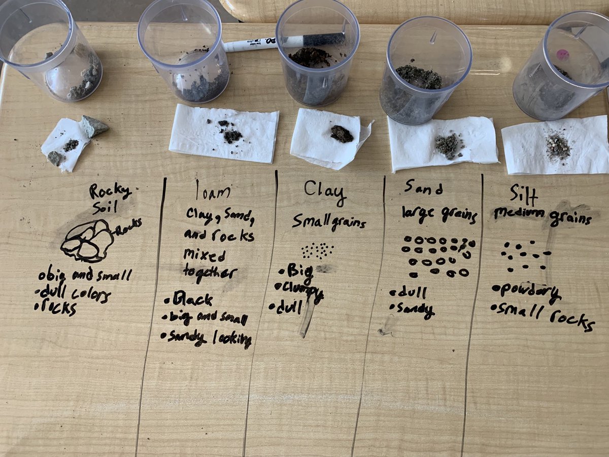 MrsMorin3's tweet photo. These Ss were proud of their findings. They decided we should return the soil to our garden at recess later since they know from their civilization studies that soil is an important natural resource. Love their thinking across disciplines! https://t.co/hrsEA1engB