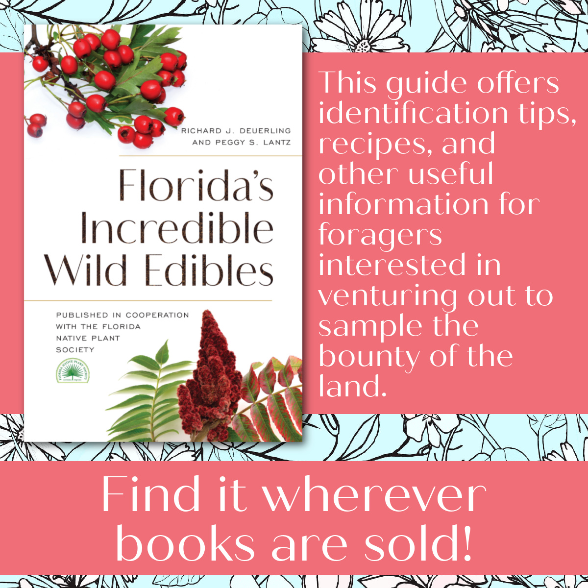 _PineapplePress's tweet photo. Florida is filled with an abundance of native plants with roots, stems, leaves, flowers, fruit, and seeds that can provide tasty and nutritious food for people! Florida's Incredible Wild Edibles 2nd Ed is available wherever books are sold!

#pineapplepress #florida #foraging https://t.co/UKhxN5n7kM
