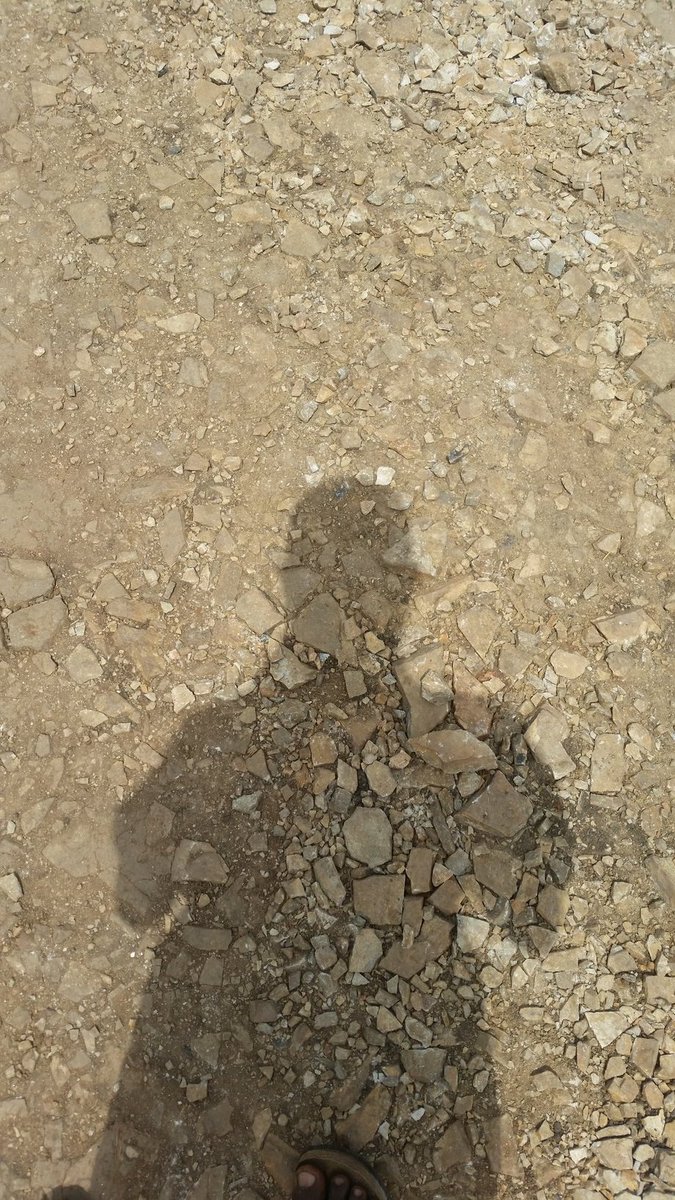 What's the color of ur shadow 😆😆😆😆