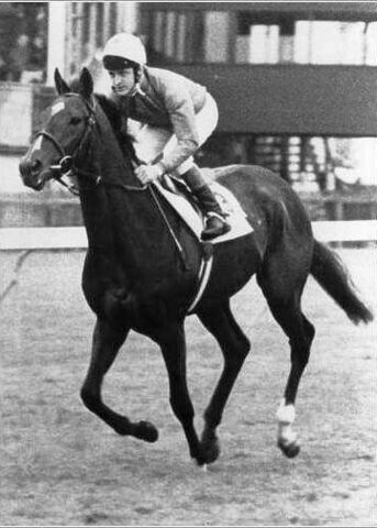 AnaglogsDaughtr's tweet photo. You know I'm bored and about to become mischievous when I  start posting flat racing photos 
STORM BIRD &amp; Pat Eddery https://t.co/9EUdcWrOze