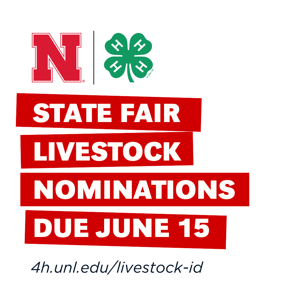 WCNE4H's tweet photo. Thinking about showing livestock at the Nebraska State Fair? Nominations are due June 15! 

Learn more: https://t.co/TXtgtHtFPP https://t.co/xzyEo6Lf8E