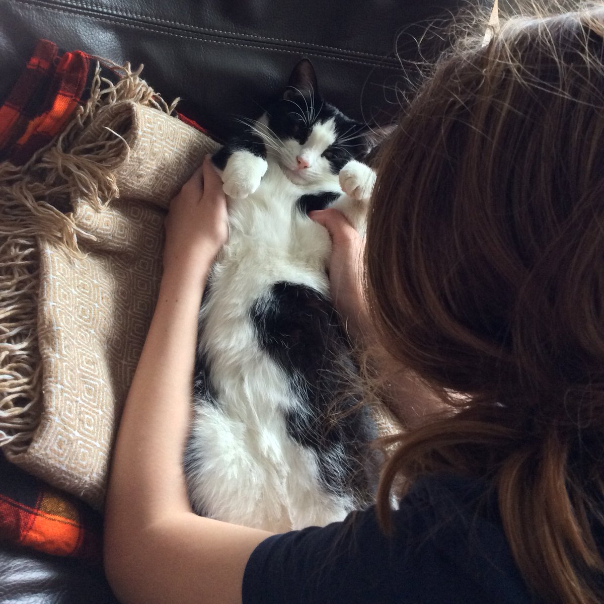 MarcuspWilson's tweet photo. ‘Emily & Buddy’
137/365
#365in2022
#parastin @sonyaphotoart https://t.co/EPrlpdv36Y
