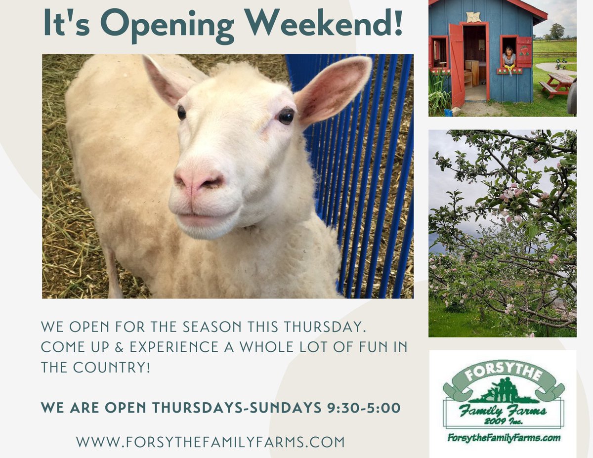 ForsytheFarms's tweet photo. The long weekend means it's opening weekend for us! Come for a visit, see the animals, walk the trails, & play in the playground. We're open Thursday-Sunday
Can't wait to see you!
#farmsarefun #getoutside #thingstodoindurham #visitydh https://t.co/YOHTsI4I8q