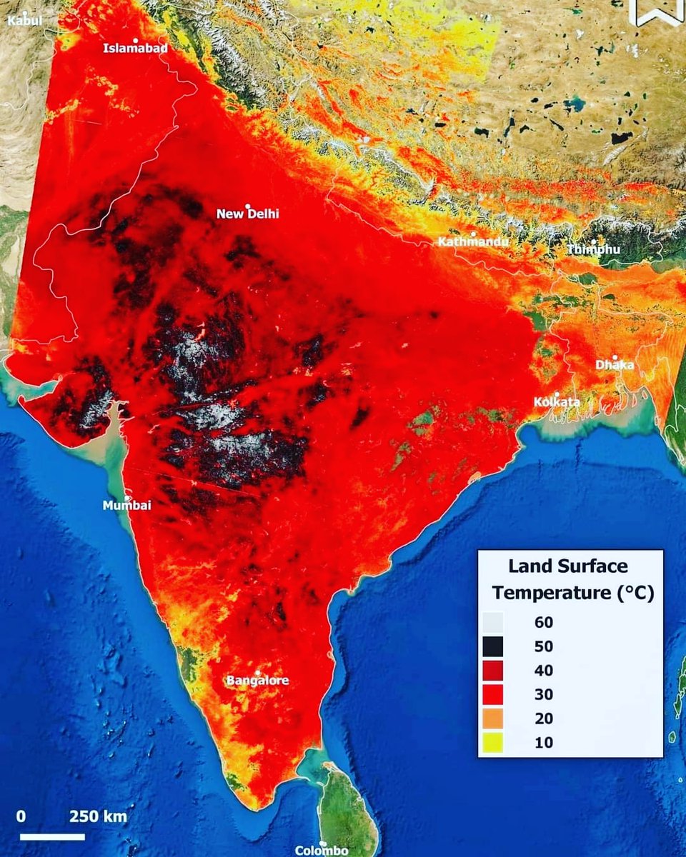 the_turningtide's tweet photo. Is Solar Radiation Really The Problem?
Although #solarradiation heats up our plannet, it isn't really a problem. The amount of #hydrocarbons burnt leads to particulate matter &amp; tree cover loss is the real reason
Each of us is responsible
We need to #plantmoretrees
Get intouch to! https://t.co/8lqPoKcx1S