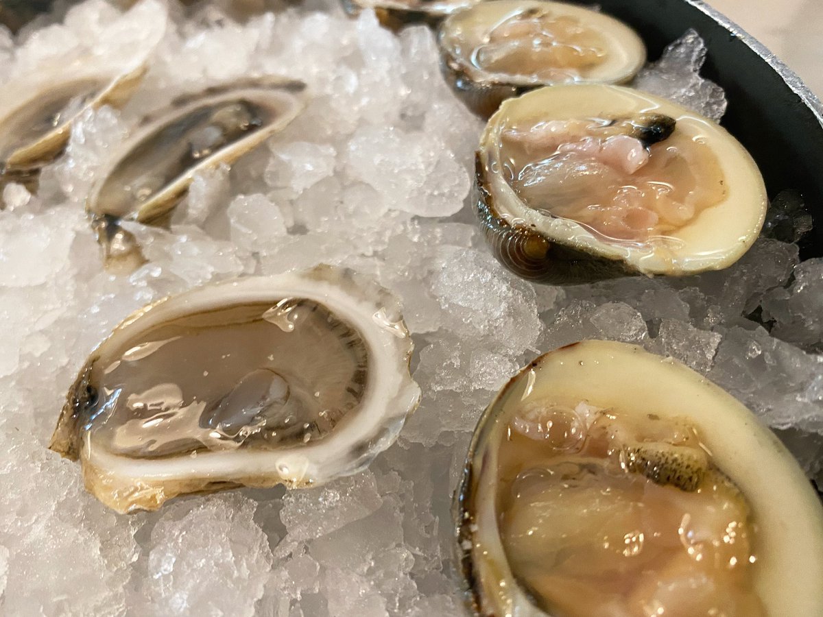 tonyatthetable's tweet photo. Beausoleil Oysters &amp; Clams on the half shell at Stern and Bow in #ClosterNJ. https://t.co/NwuuhKOWWF