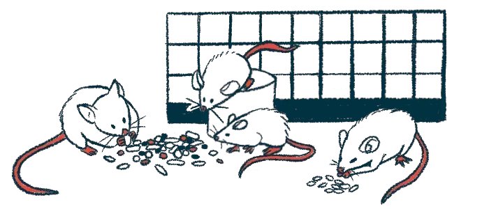 parkinsonstory's tweet photo. Transplanting human nerve cells into the brains of mice in a model of Parkinson’s disease to replace dopamine-producing cells — those lost in patients — improved the animals’ motor function over one year. https://t.co/y3mXimUdfF

#PD #ParkinsonsDisease #LivingwithPD #PDresearch https://t.co/ig1HLhwBUY